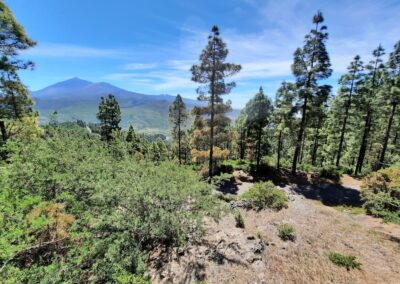 Panorámica de las cumbres de los volcanes Teide y Pico Viejo