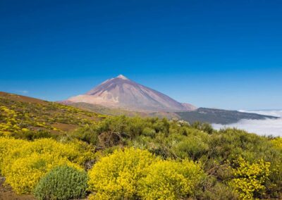 Foto paisajística del P. N. Teide en primavera