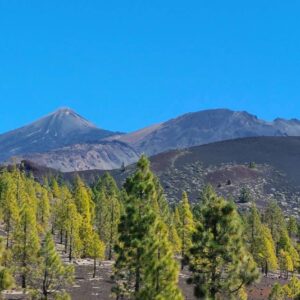 Vulkantour am Fuβe des Teide